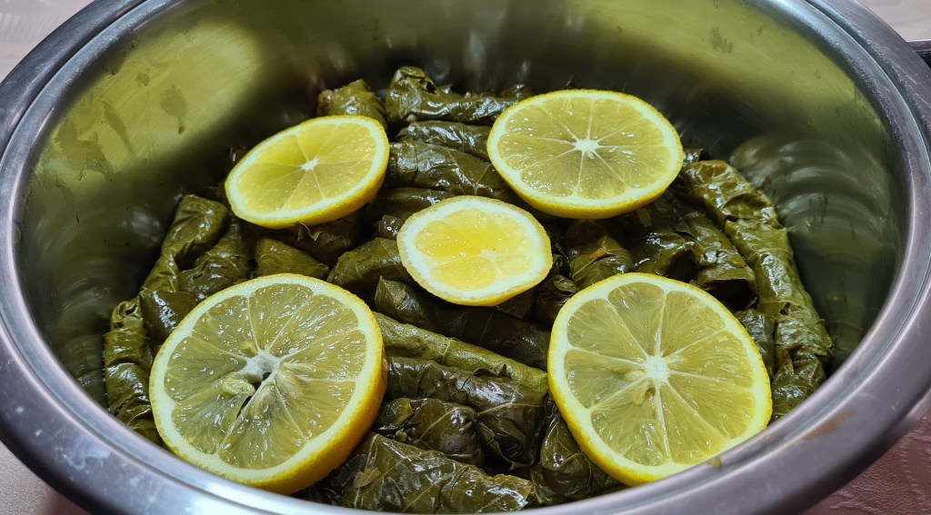 Bu görselin boş bir alt özelliği var; dosya ismi: 20201216_150334.jpg